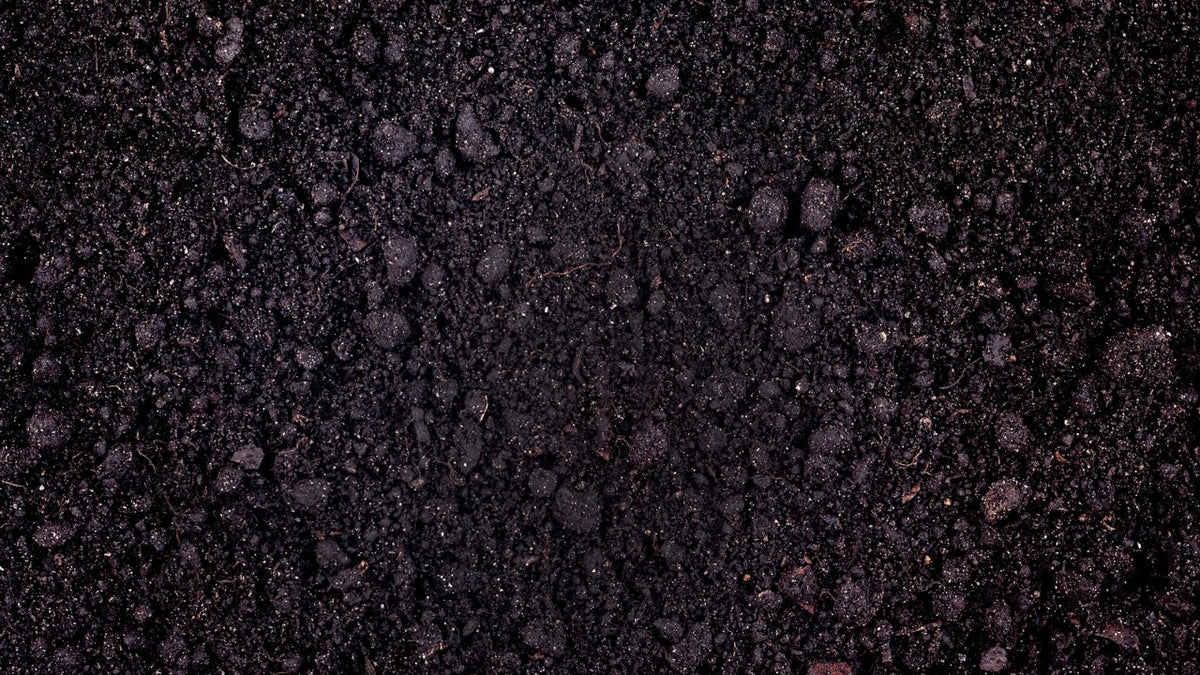 Black Loam