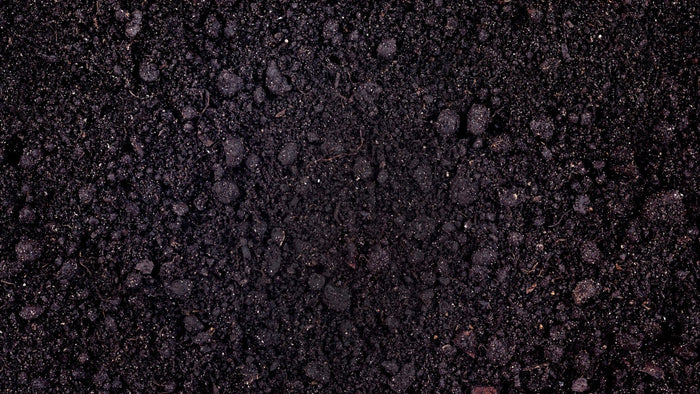 Black Loam