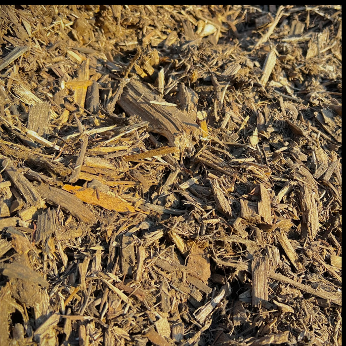 Forest Mulch
