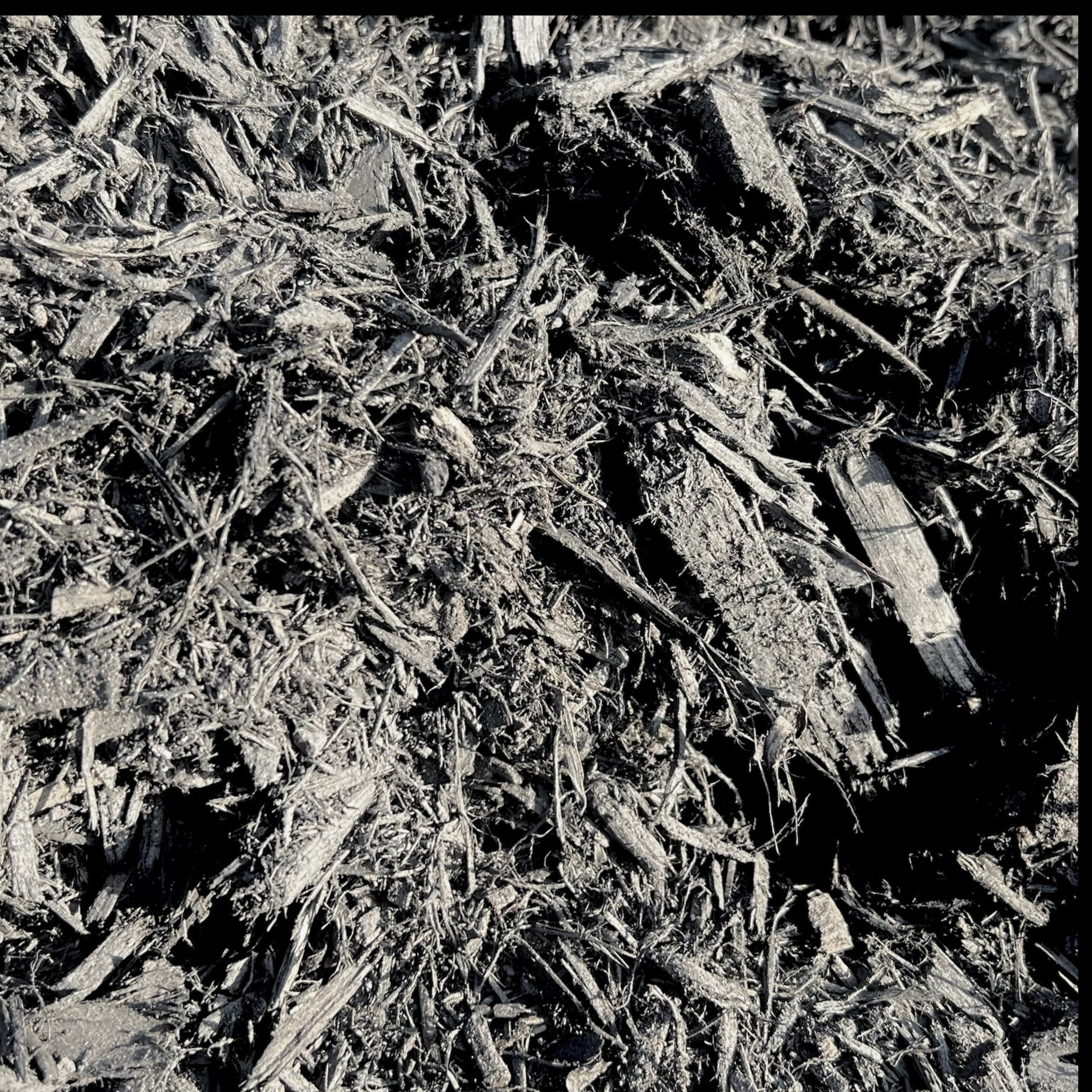 Premium Black Mulch