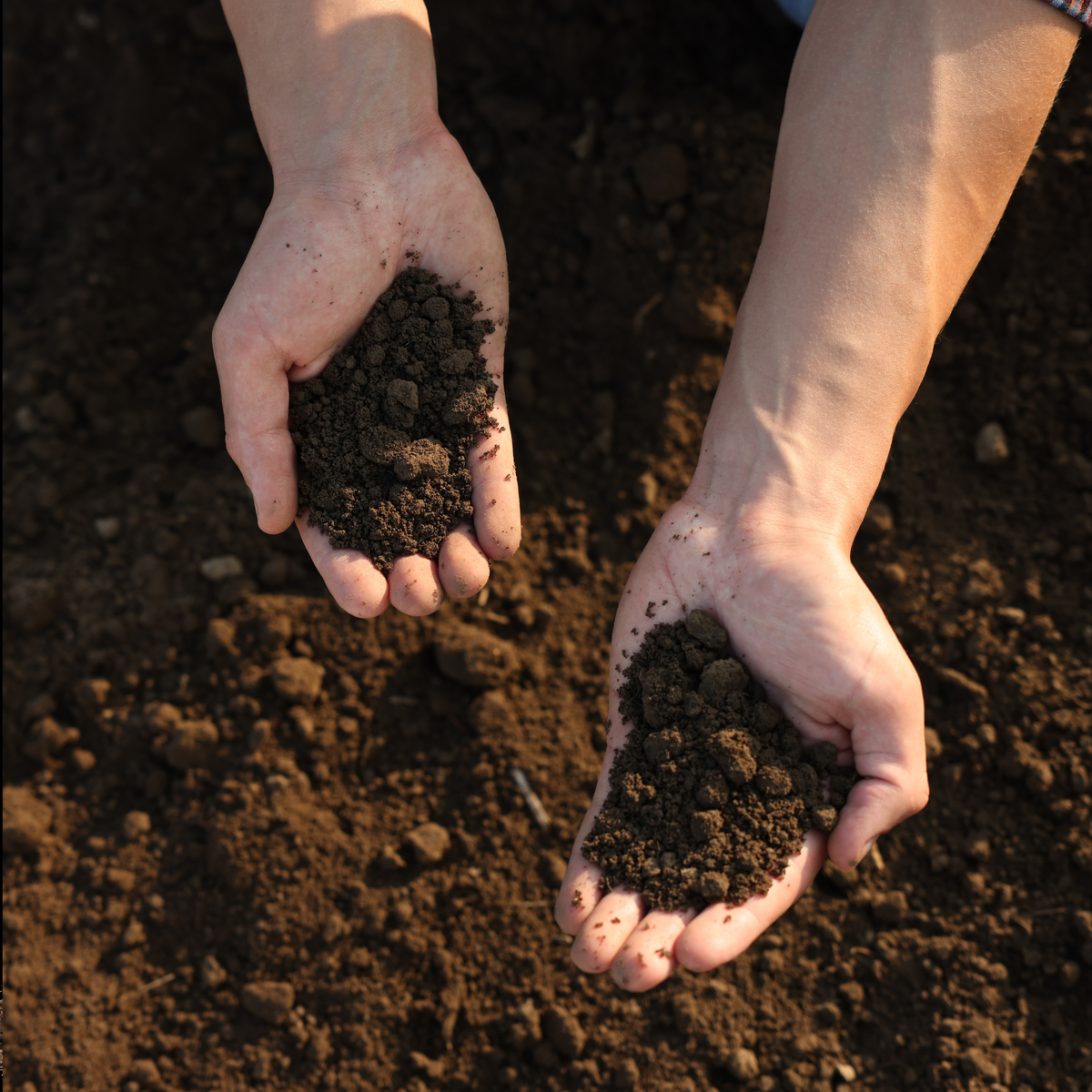 Grading Top Soil