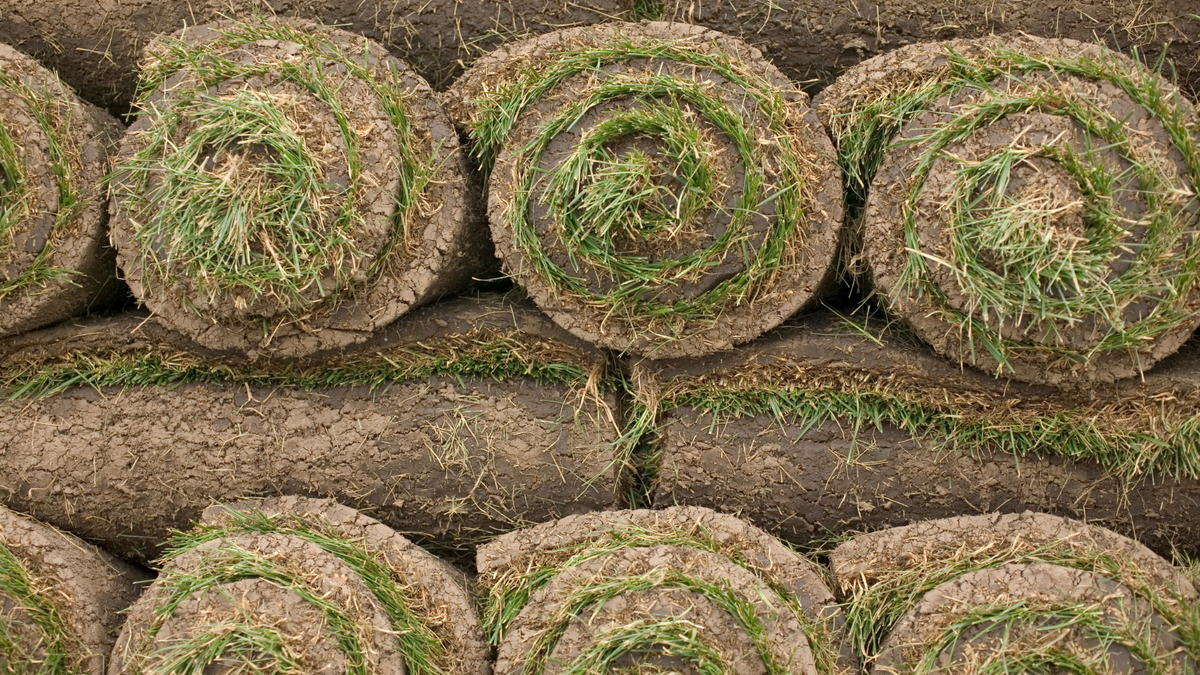 Sod By The Pallet (700sq/ft each)