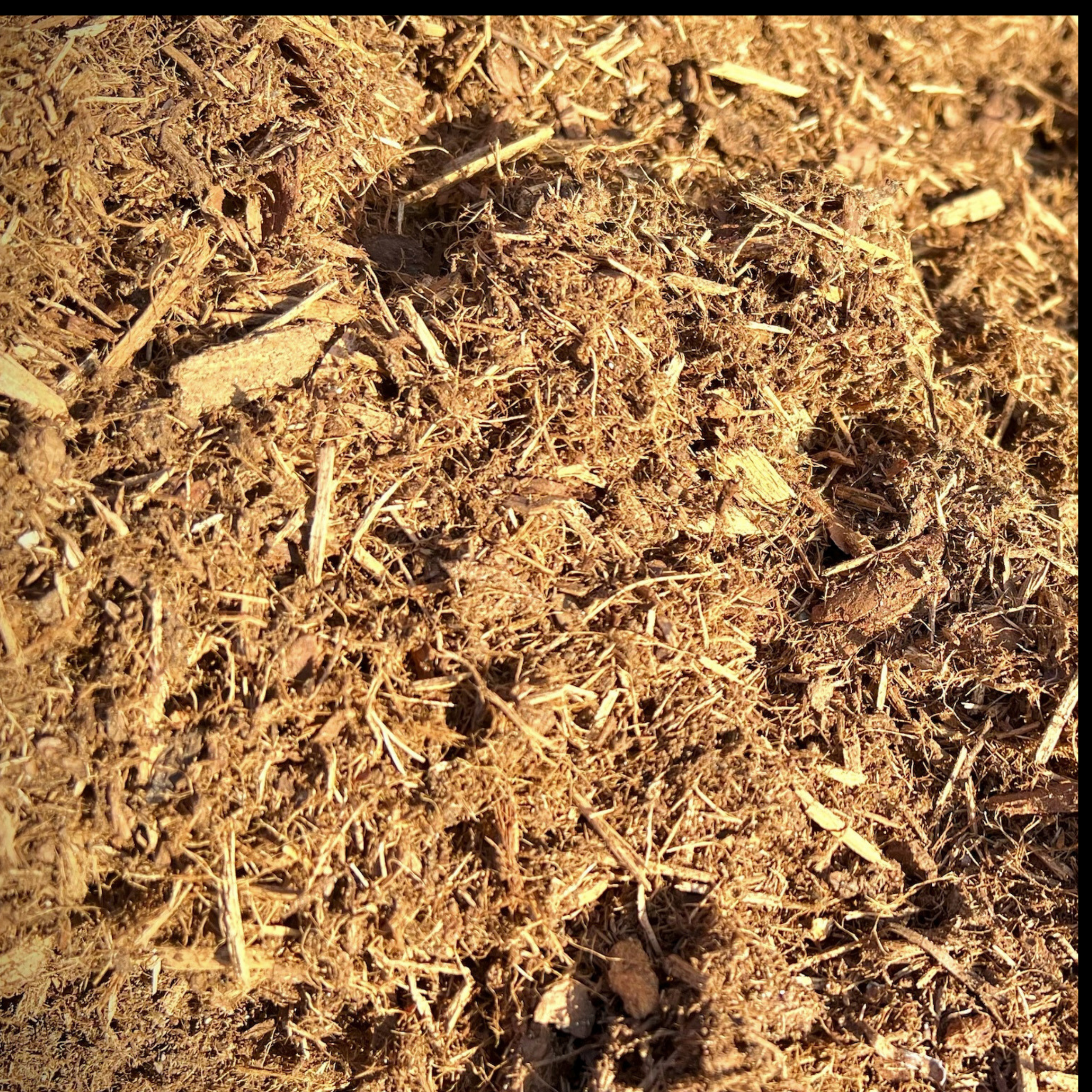 Pine Bark Mulch