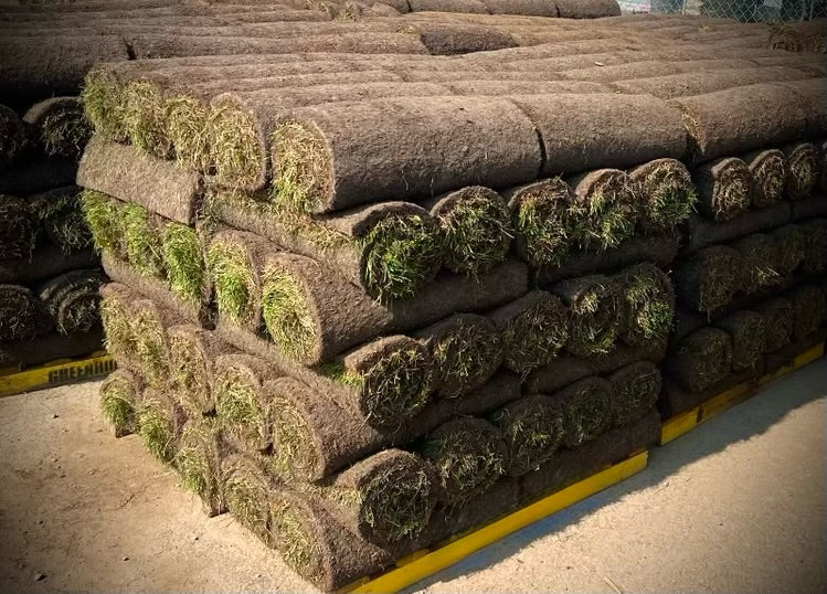 Sod By The Pallet (700sq/ft each)